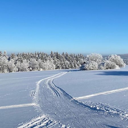 Vila Veselíčko 44 Žďár nad Sázavou Exteriér fotografie