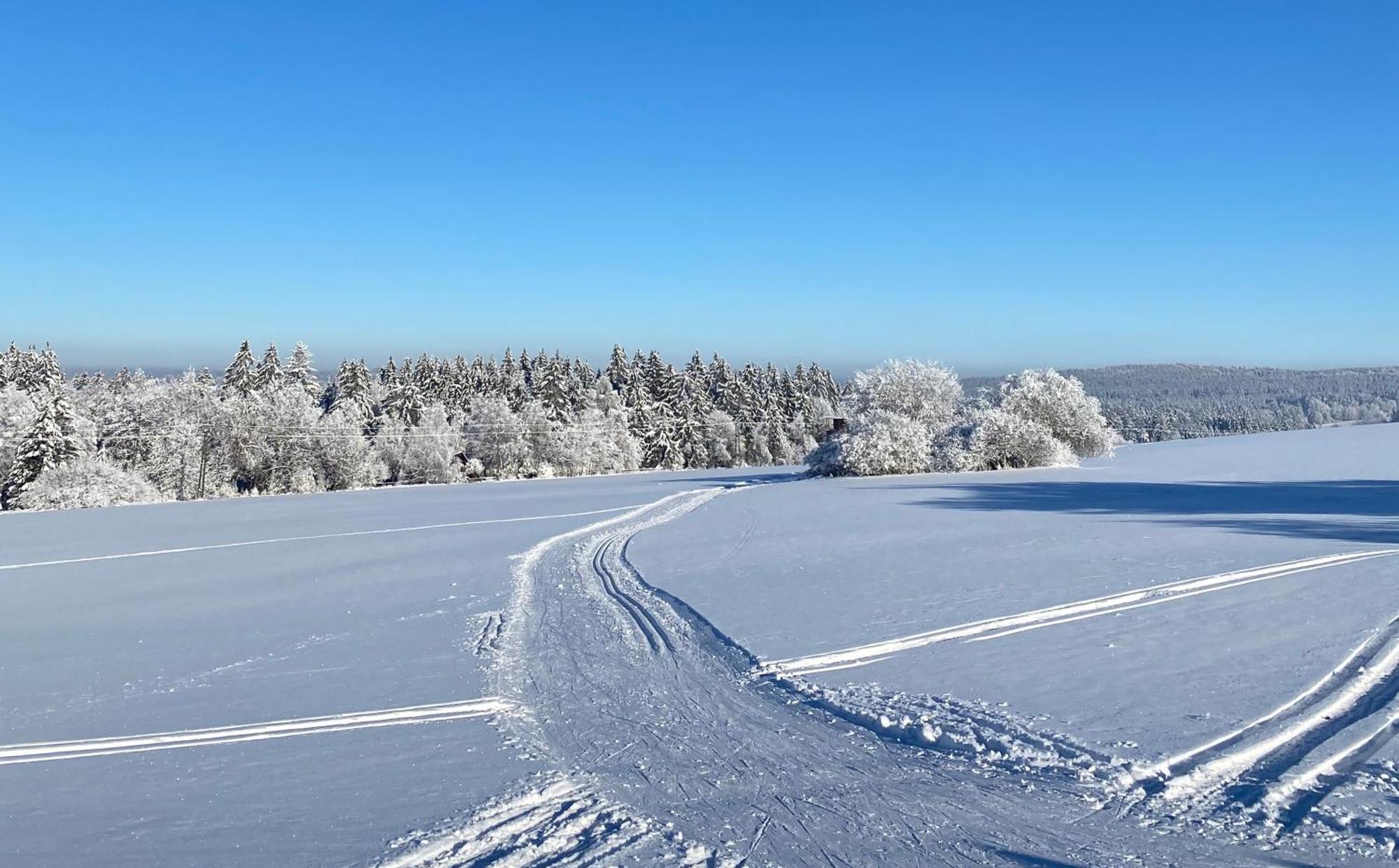 Vila Veselíčko 44 Žďár nad Sázavou Exteriér fotografie